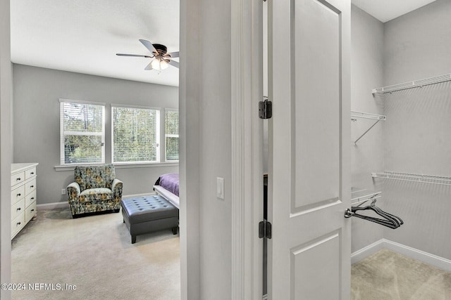 145 Sugar Sand Ln, Saint Johns, FL 32259 - walk in closet with ceiling fan and light carpet