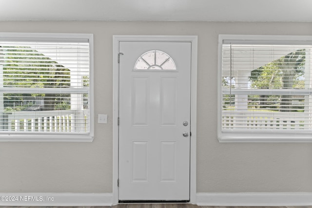 entrance foyer featuring hardwood / wood-style floors