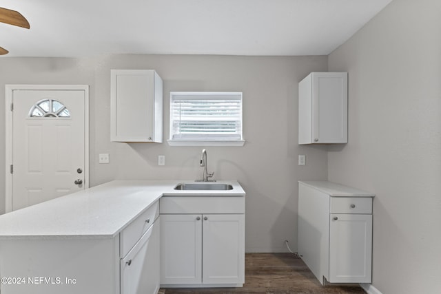 clothes washing area with sink, dark hardwood / wood-style floors, and ceiling fan