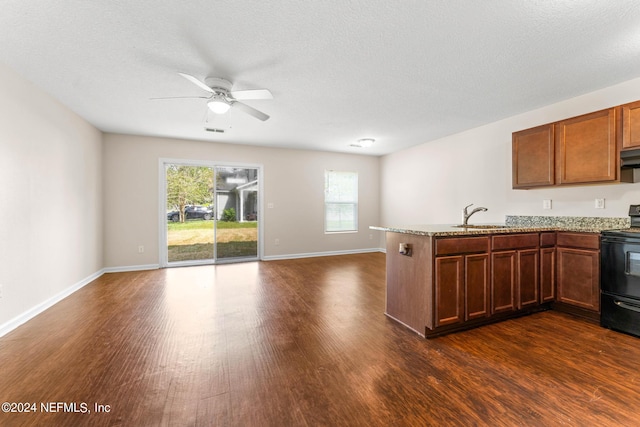 kitchen featuring sink, black / electric stove, dark hardwood / wood-style floors, and plenty of natural light