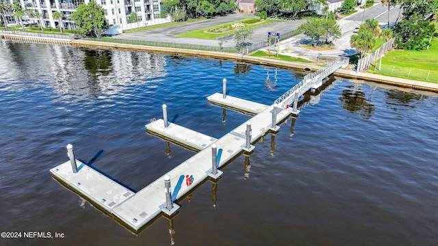 dock area with a water view