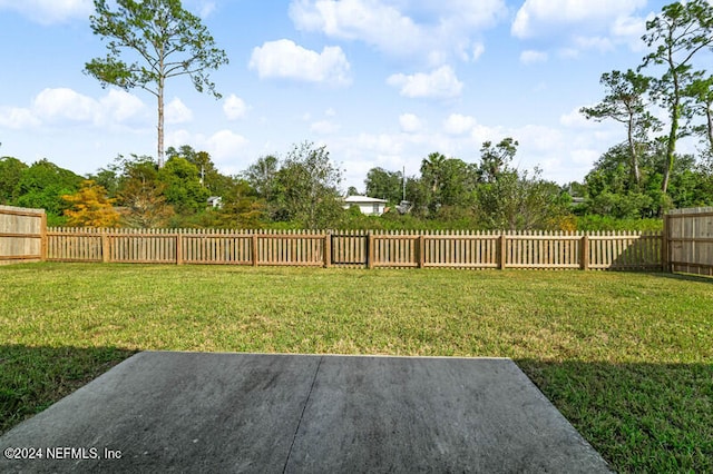 view of yard with a patio