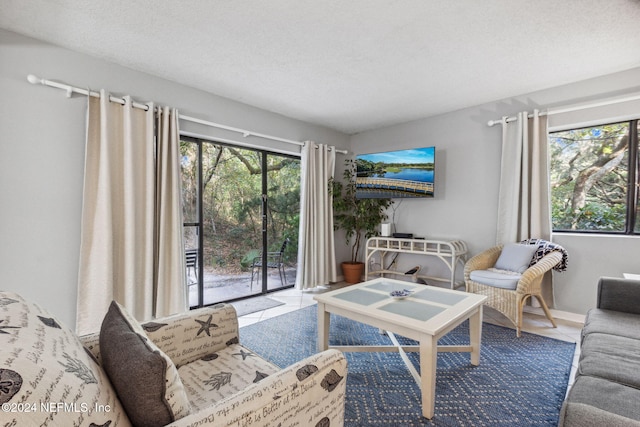 living room with a healthy amount of sunlight and a textured ceiling