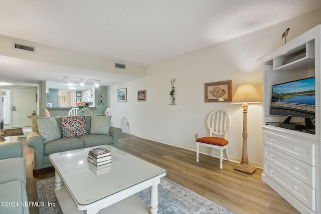 living room featuring light hardwood / wood-style floors and track lighting