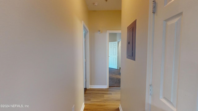 hall featuring light hardwood / wood-style floors and electric panel