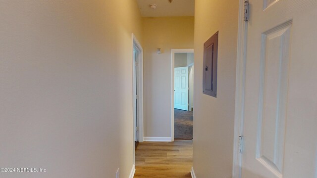7990 Baymeadows Rd E Unit 410, Jacksonville, FL 32256 - hallway with light wood finished floors, baseboards, and electric panel