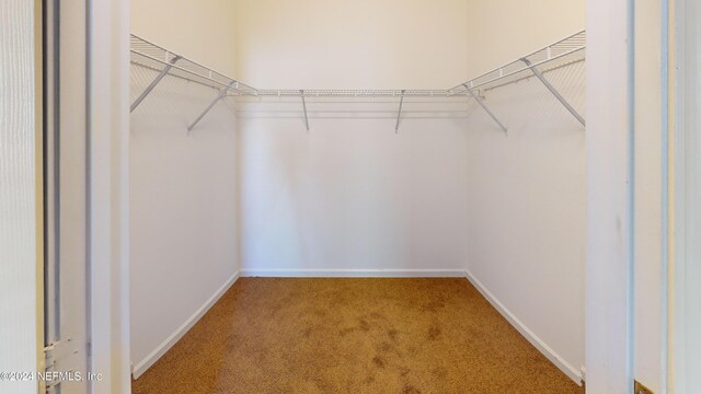 7990 Baymeadows Rd E Unit 410, Jacksonville, FL 32256 - walk in closet featuring carpet