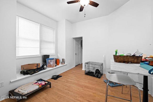 office space with ceiling fan and wood-type flooring