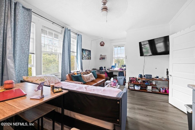 living room featuring ornamental molding, ceiling fan, and dark hardwood / wood-style flooring