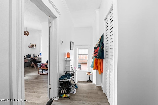 hall with crown molding and light wood-type flooring