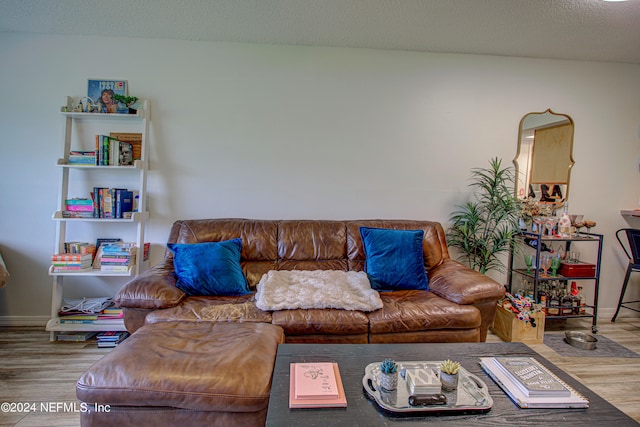 living room featuring a textured ceiling and wood-type flooring