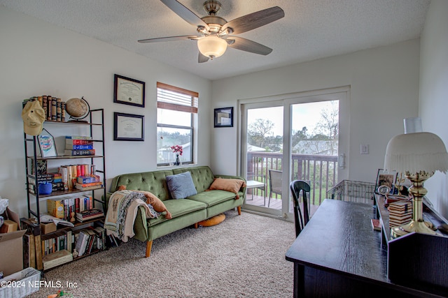 office featuring ceiling fan, carpet flooring, and a textured ceiling