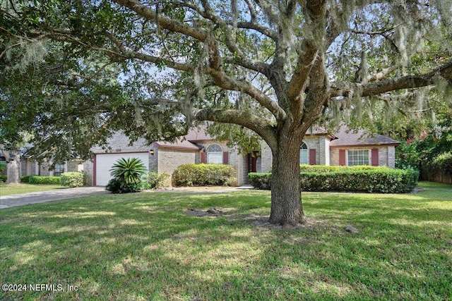 view of property hidden behind natural elements with a front lawn and a garage