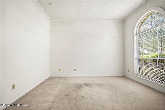 carpeted spare room with a wealth of natural light, ornamental molding, and a textured ceiling