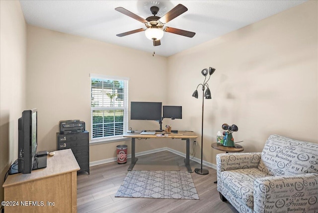 office space featuring light hardwood / wood-style flooring and ceiling fan