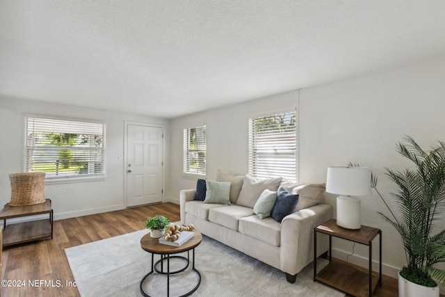 living room featuring plenty of natural light, a textured ceiling, and hardwood / wood-style flooring