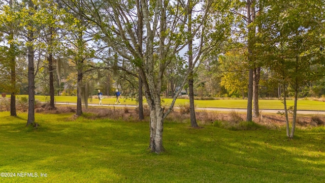 view of home's community with a yard