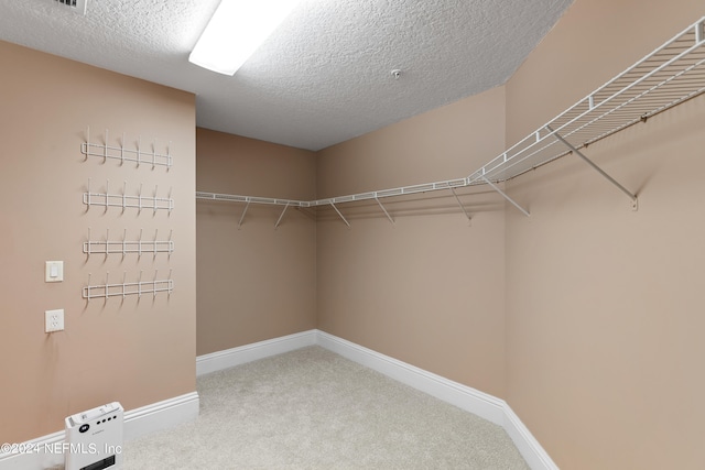 spacious closet with carpet