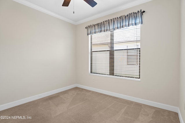 carpeted spare room with ornamental molding and ceiling fan