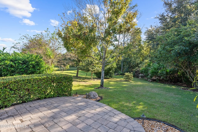 view of yard with a patio