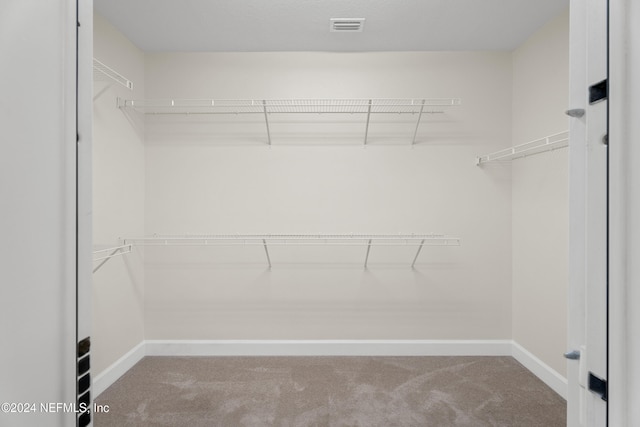 spacious closet featuring carpet floors