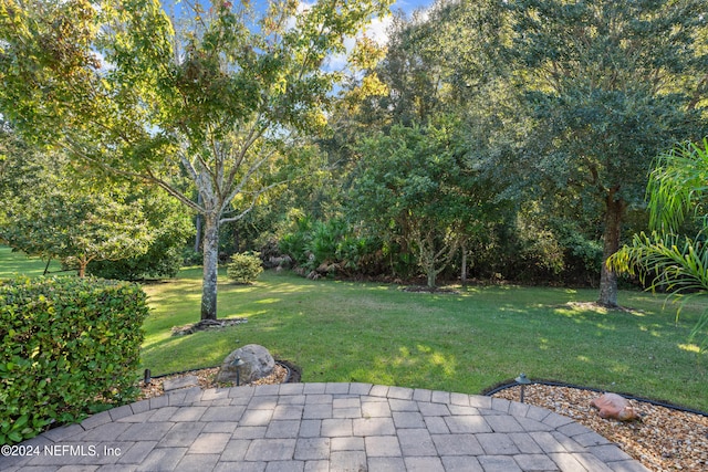 view of yard featuring a patio