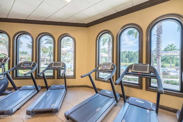 workout room with a drop ceiling, ornamental molding, and a wealth of natural light