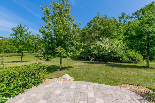 view of yard with a patio area