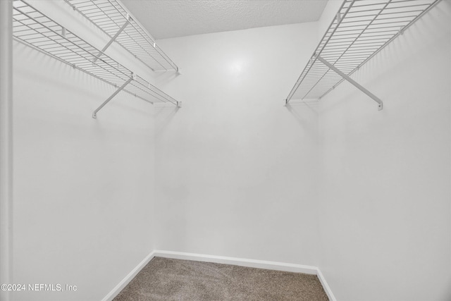 spacious closet with carpet flooring