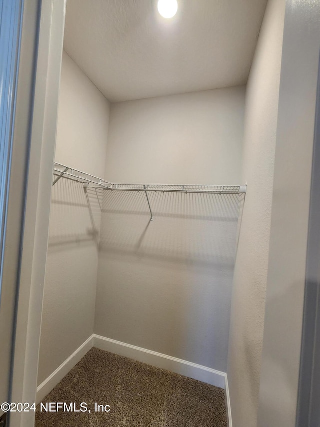 walk in closet with carpet flooring