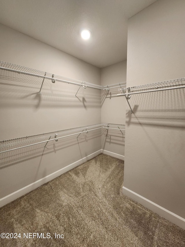 walk in closet featuring carpet floors