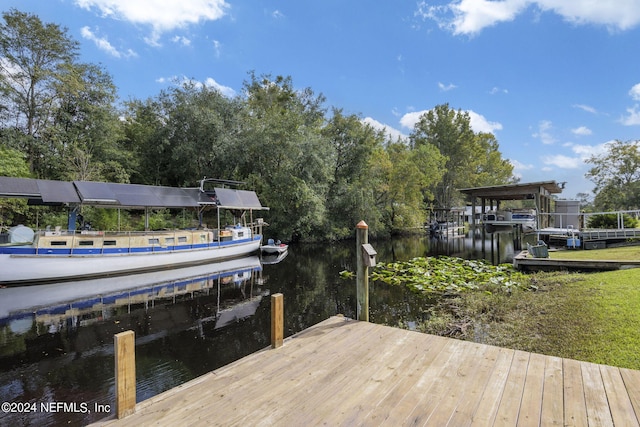 dock area with a water view