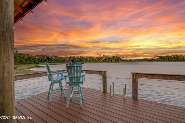 dock area featuring a water view