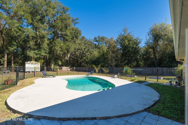 view of pool with a yard and a patio area