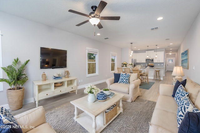 living room with wood-type flooring and ceiling fan