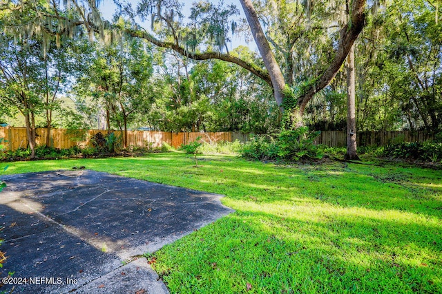 view of yard with a patio