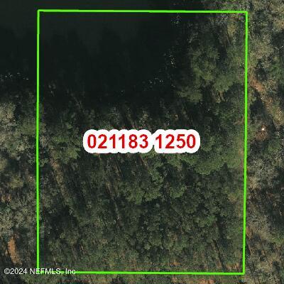 0 Peeples Ln, Jacksonville, FL 32219 - photo 1