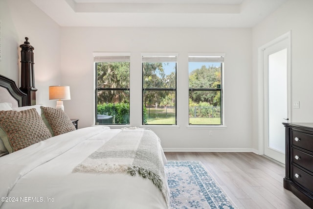 bedroom with a raised ceiling, multiple windows, and light hardwood / wood-style flooring