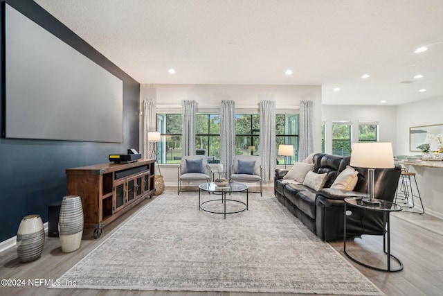 living room featuring light wood-type flooring