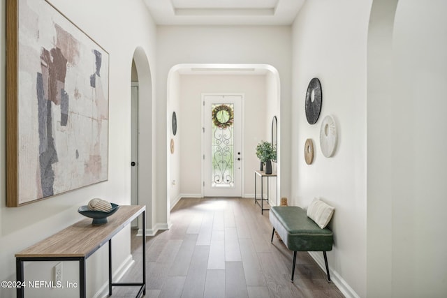 interior space featuring a tray ceiling and light hardwood / wood-style floors