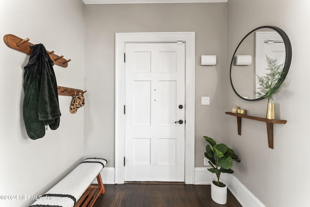 foyer entrance with dark hardwood / wood-style flooring