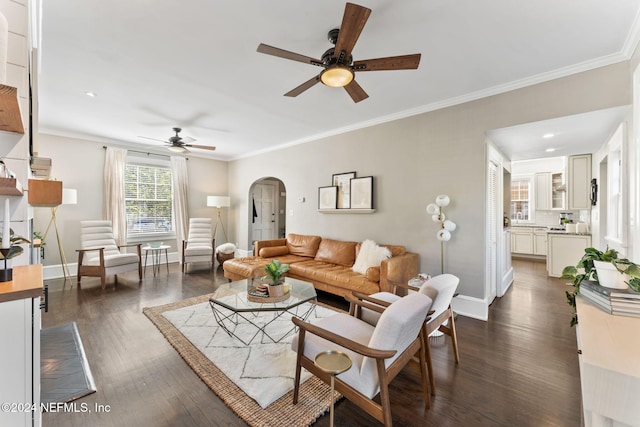 living room with ceiling fan, dark hardwood / wood-style floors, and crown molding