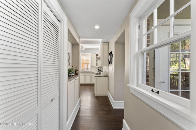 hall with plenty of natural light and dark hardwood / wood-style flooring