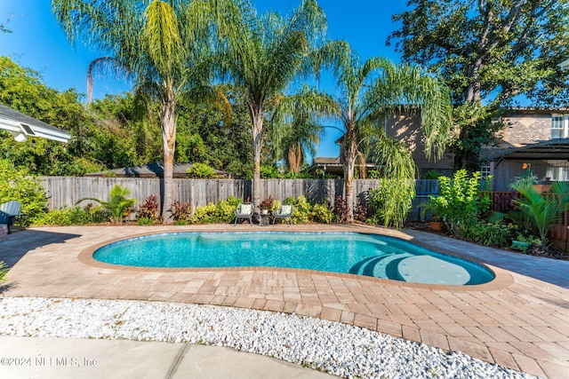 view of pool featuring a patio