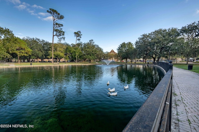 property view of water