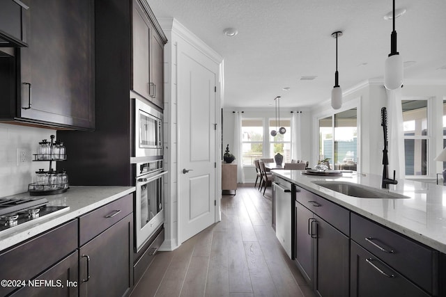 kitchen with stainless steel appliances, dark brown cabinets, wood-type flooring, and pendant lighting