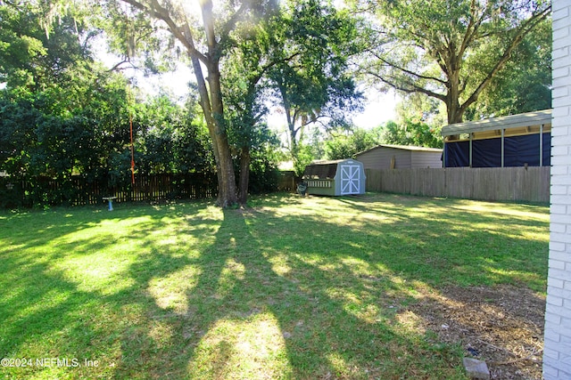 view of yard with a storage shed