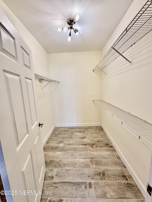 spacious closet featuring wood finished floors