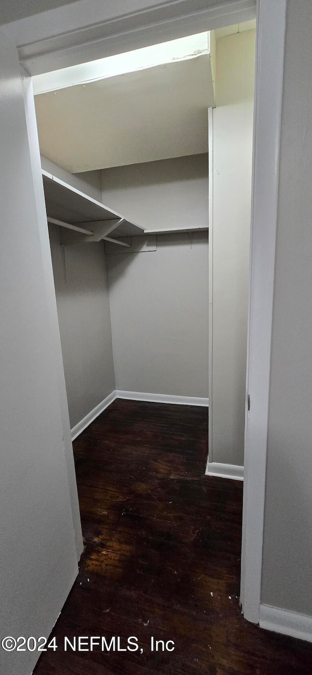 walk in closet with dark hardwood / wood-style flooring