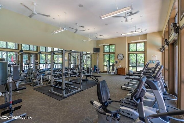 gym featuring ceiling fan, carpet, and a high ceiling